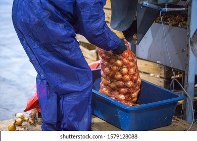 mesh bags for storing bulbs