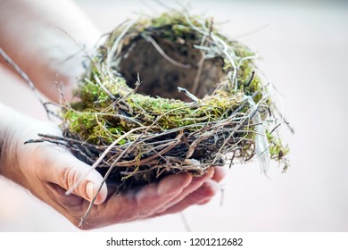 hands empty nest 