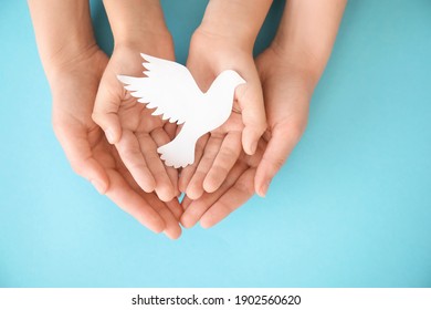 Hands of family with paper dove on color background - Shutterstock ID 1902560620