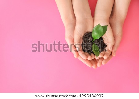 Hands of family with small plant on color background