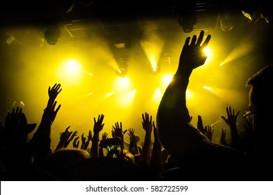 Fucking During Concert