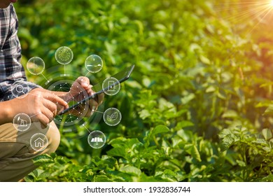 Hands Of Farmer, Agriculture Technology Farmer Man Using Tablet Modern Technology Concept Agriculture.