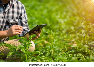 Hands Of Farmer, Agriculture Technology Farmer Man Using Tablet Modern Technology Concept Agriculture.