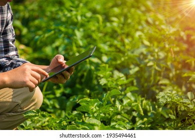 Hands Of Farmer, Agriculture Technology Farmer Man Using Tablet Modern Technology Concept Agriculture.