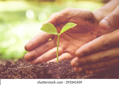 Hands of farmer growing and nurturing tree growing on fertile soil with green and yellow bokeh background / nurturing baby plant / protect nature - Shutterstock ID 293341439