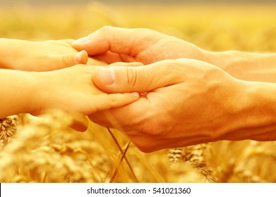 Hands of father and daughter holding each other on wheat field