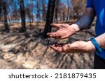 Hands of a firefighter man dirty and black in the forest fire, burned forest, climate change