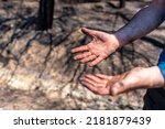 Hands of a firefighter man in the forest fire, burned forest, climate change