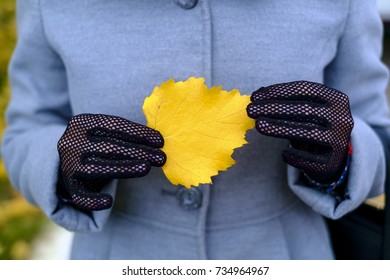 Hands In Fishnet Gloves With Yellow Autumn Leaf. Girl In Gray Coat