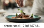 Hands, food or sprinkle on dish for fine dining, culinary school or luxury restaurant. Chef, healthy protein or spices on plate for seasoning, catering and hospitality for event in commercial kitchen