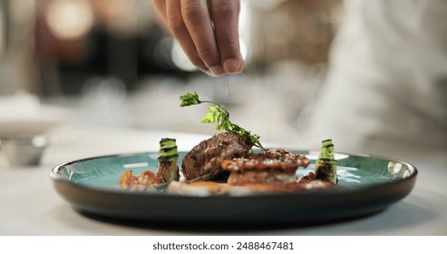 Hands, food or sprinkle on dish for fine dining, culinary school or luxury restaurant. Chef, healthy protein or spices on plate for seasoning, catering and hospitality for event in commercial kitchen