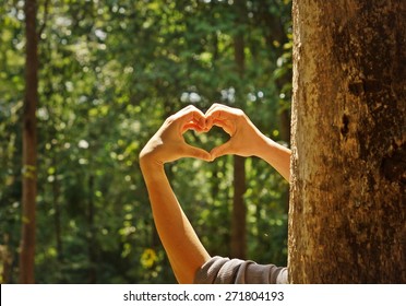 hands forming a heart shape around a big tree - protecting tree and love nature