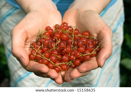 Similar – Foto Bild Kinderhand hällt frische Johannisbeeren