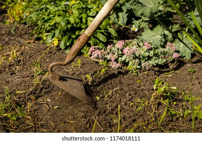 Hands Gardener Remove Weeds From The Garden With A Tool