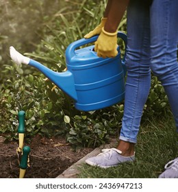 Hands, gardening and outdoor with water can, plants and liquid in spring for health, care or growth. Person, hydration and soil with ground for dirt, development and nature with ecology in backyard - Powered by Shutterstock