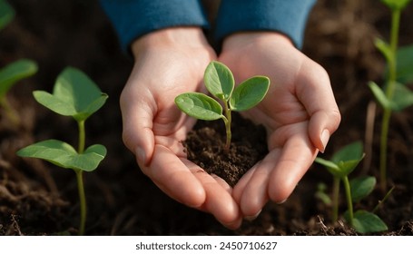 Hands gently cradle a small amount of soil, from which a young plant sprouts, symbolizing growth and care for the environment. This image captures the essence of Earth Day 2024