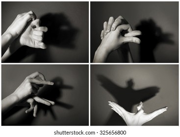 908 Hand gesture like animal Images, Stock Photos & Vectors | Shutterstock