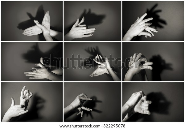 Hands gesture like different  animals and\
figures on gray\
background
