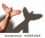 Hands gesture like dove on white background.

