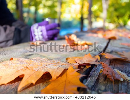 Similar – Foto Bild Rauhreif Natur Wasser