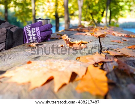 Similar – Foto Bild Rauhreif Natur Wasser