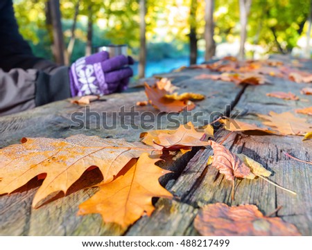 Similar – Foto Bild Rauhreif Natur Wasser