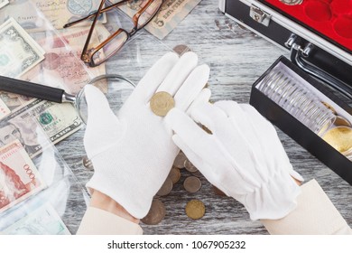 Hands In The Gloves Hold Gold Collector Coin, Top View