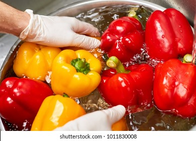Hands in gloves washing peppers into bowl, close up. Rinsing vegetables into metal bowl.