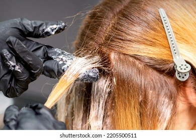 Hands Hairdresser Applying Dye Gloved Fingers Stock Photo 2205500511 ...