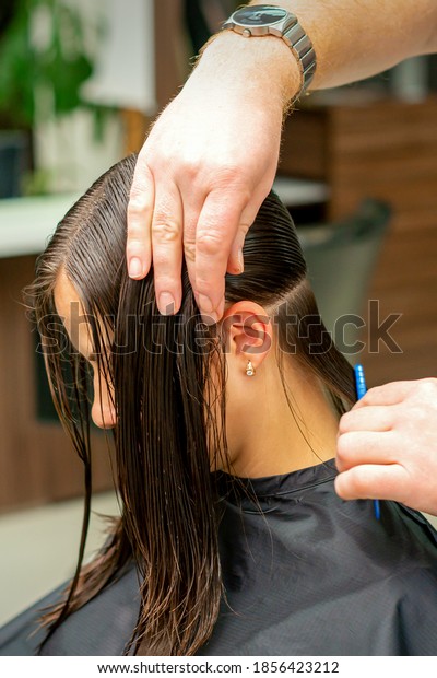 Hands of a hairdresser combing
the hair of a young woman parted in sections at the
barbershop