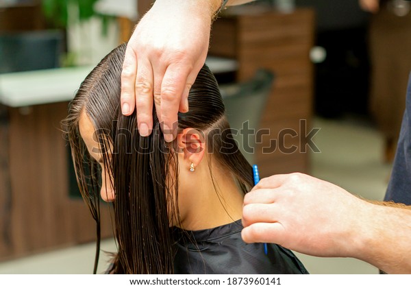 Hands of a\
hairdresser combing the hair of a young woman parted in sections at\
the barbershop. Selective\
focus
