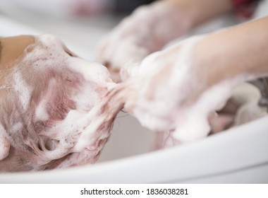 The Hands Of The Hairdresser Wash The Client's Hair With A Thick Lather. Selective Focus