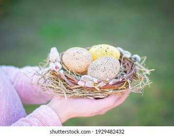 hands hold a beautiful nest of willow branches with easter eggs, side view