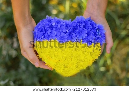 hands hold a heart made of blue and yellow flowers. colors of the national Ukrainian flag. Independence Day of Ukraine, public holidays.
