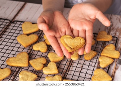 Hands hold a heart-shaped cookie above a cooling rack filled with more cookies. The cookies are golden and still warm, ready to be decorated for a special occasion. - Powered by Shutterstock