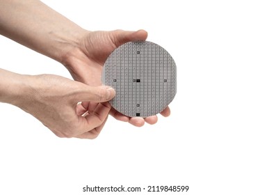 A Hands Hold A Multilayer Semiconductor Silicon Wafer With A Microcircuit Chip Of A Powerful Darlington Transistor Isolated On A White Background.