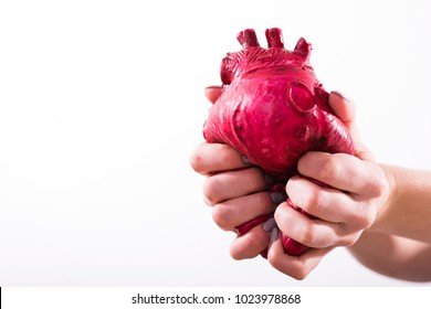 Hands Hold And Pump The Heart On White Background