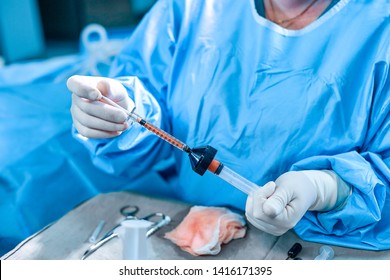 Hands Hold A Syringe And Carry Fat With The Help Of A Tool To Transfer Fat In The Operating Room. Concept Surgery, Beauty, Plastic Surgery, Obesity Of The Population.