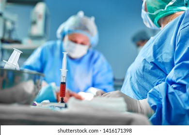 Hands Hold A Syringe And Carry Fat With The Help Of A Tool To Transfer Fat In The Operating Room. Concept Surgery, Beauty, Plastic Surgery, Obesity Of The Population.