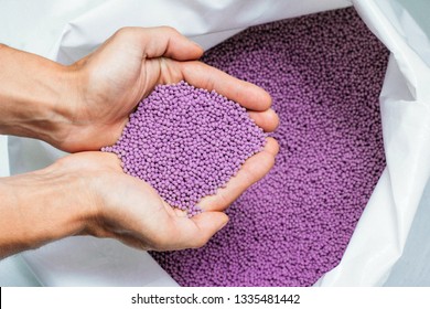 A Hands Hold Or Touching Biodegradable Plastic Pellets Recycling, Plastic Polymer Dye Granules Color Clear Purple.