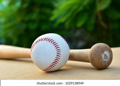 142 Brown Hands Holding Bat Images, Stock Photos & Vectors | Shutterstock