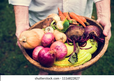Hands Holding Basket Of Mixed Veggie Produce From Farm