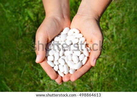 Hands holding bean on green background 