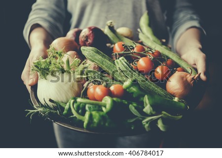 Hands holding big plate with different fresh farm vegetables. Autumn harvest and healthy organic food concept. Toned picture