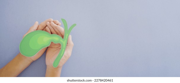 Hands holding bile duct paper cutout, bile duct obstruction, world Cholangiocarcinoma day concept - Shutterstock ID 2278420461