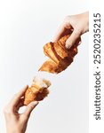 Hands holding a bitten croissant in front of a white background