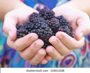 Hands holding black raspberries