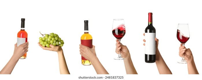 Hands holding bottles and glasses of wine on white background - Powered by Shutterstock