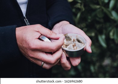 Hands holding a box of snuff, snus. Picking up a portion of nicotin pad.