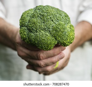 Hands Holding Broccoli Organic Produce From Farm